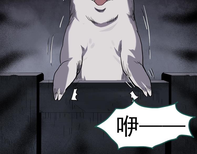 第255话 美女猪肉铺 下31