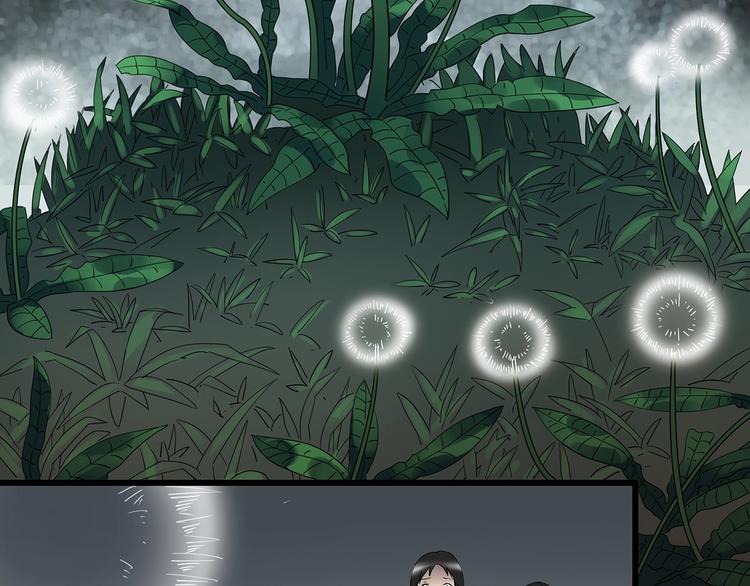 第215话 美丽的蒲公英(下)69