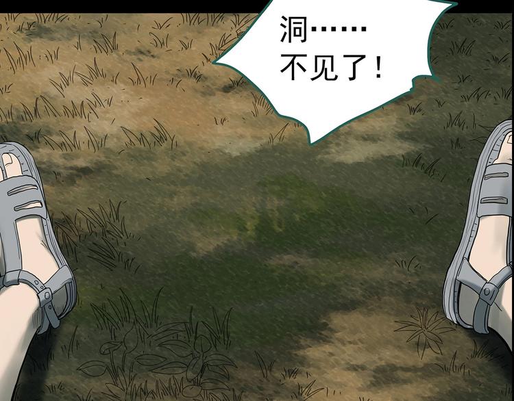 第331话 贞节橄榄树（下）142