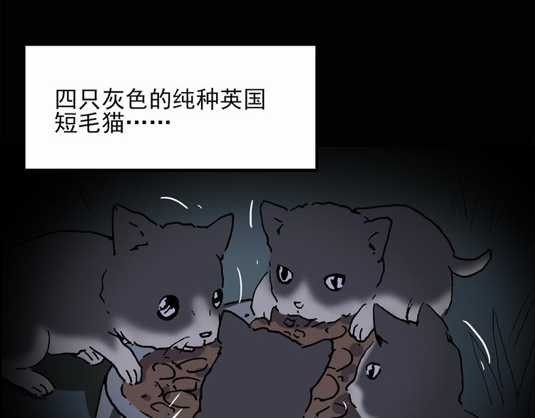 第30话 怪之猫(中2)69