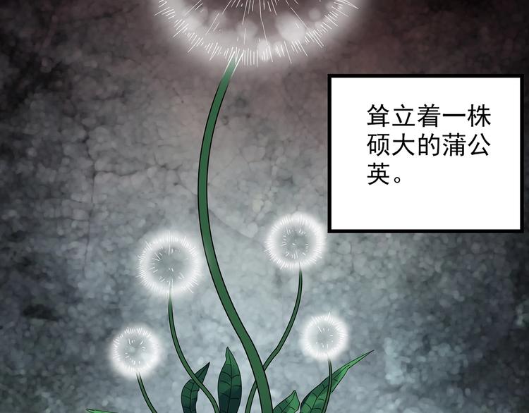 第215话 美丽的蒲公英(下)68