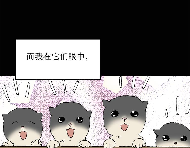第31话 怪之猫（下）35