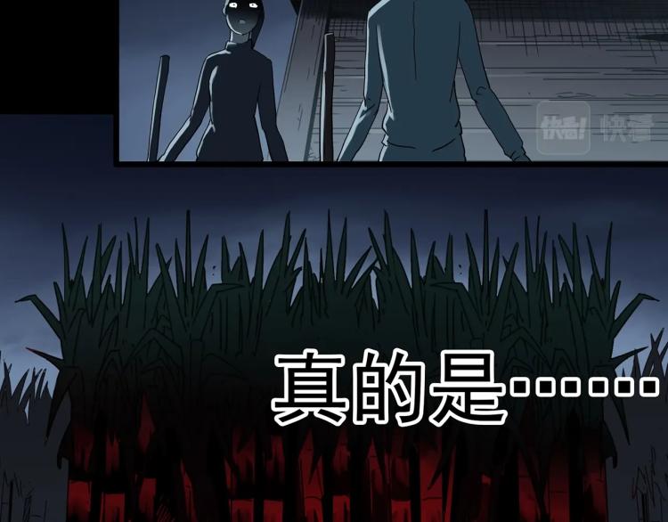 第376话 甘蔗地55