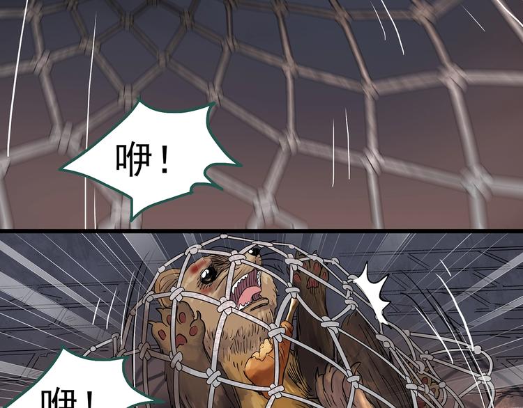 第270话 貂皮大衣 中49