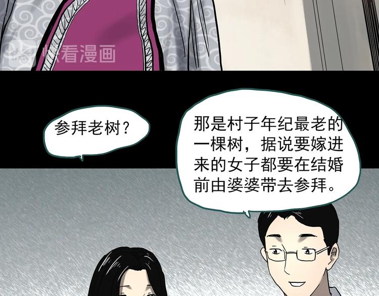 第330话 贞节橄榄树（上）62