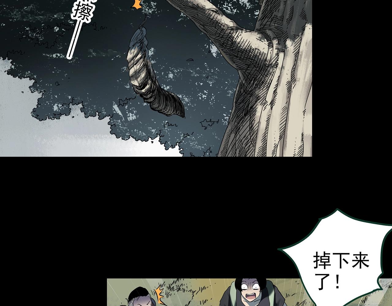 第427话 母亲树47