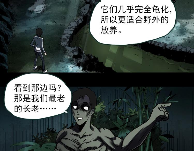 第375话 龟之怪谈（下）58
