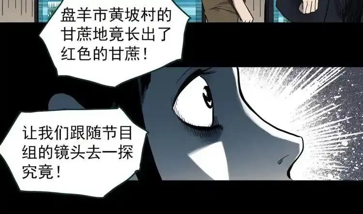 第375话 甘蔗地37