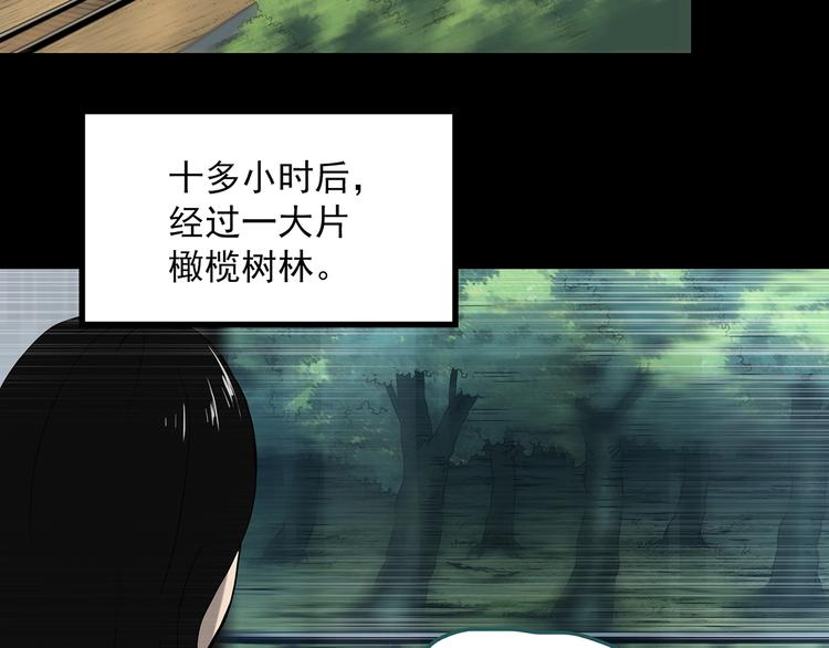 第330话 贞节橄榄树（上）36