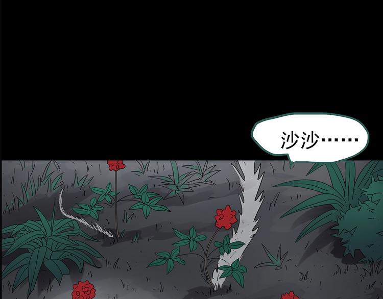 第211话 人参村（下）72