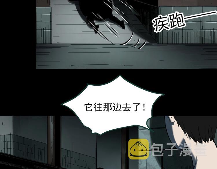 第374话 龟之怪谈（上）43