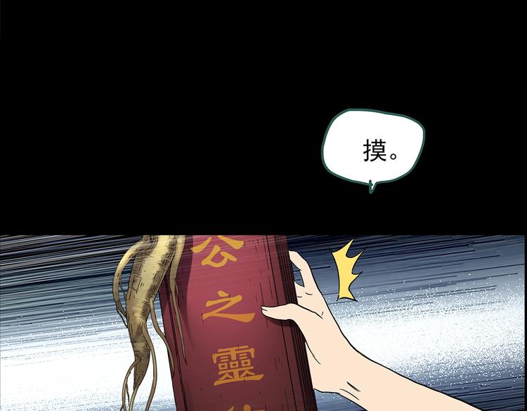 第211话 人参村（下）22