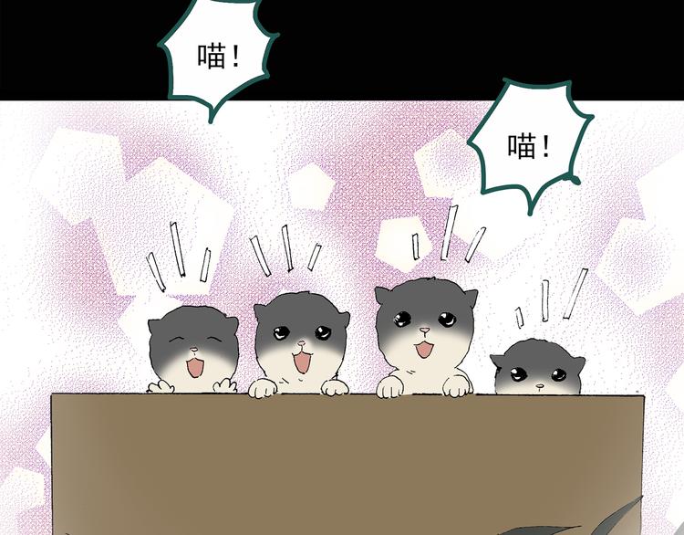 第31话 怪之猫（下）27