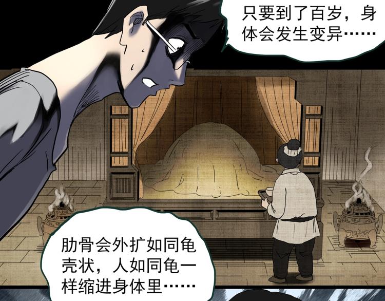 第374话 龟之怪谈（上）62