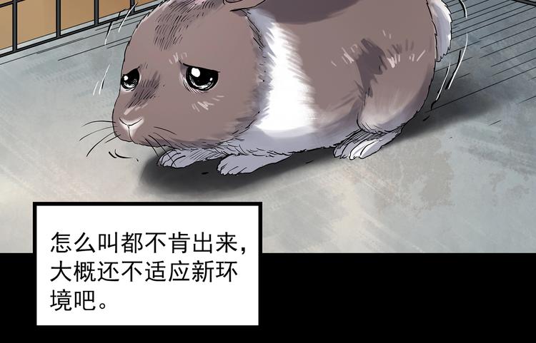 第357话 树上影 上24