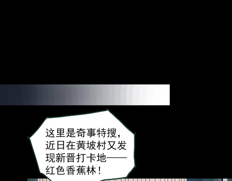 第376话 甘蔗地92