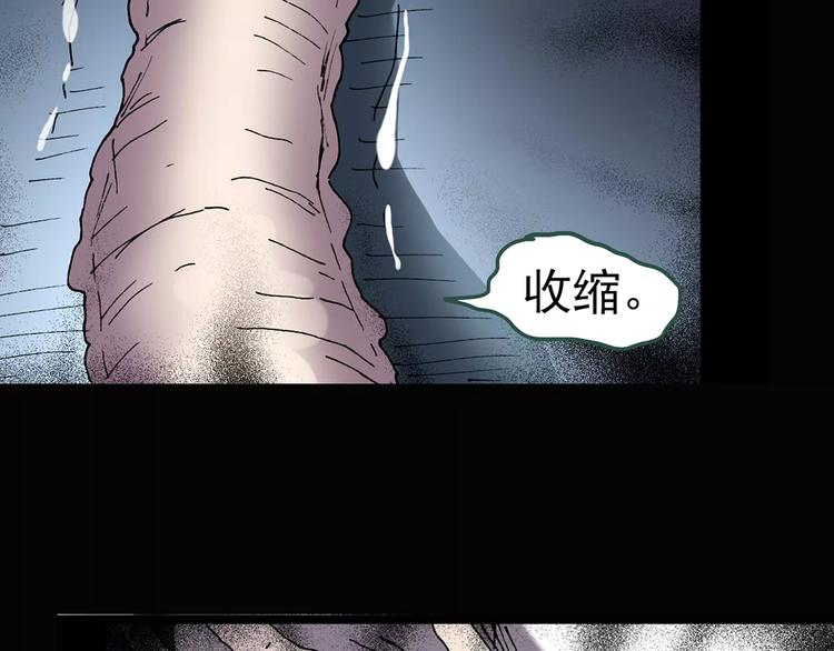 第87话 蜕皮少女（上）84