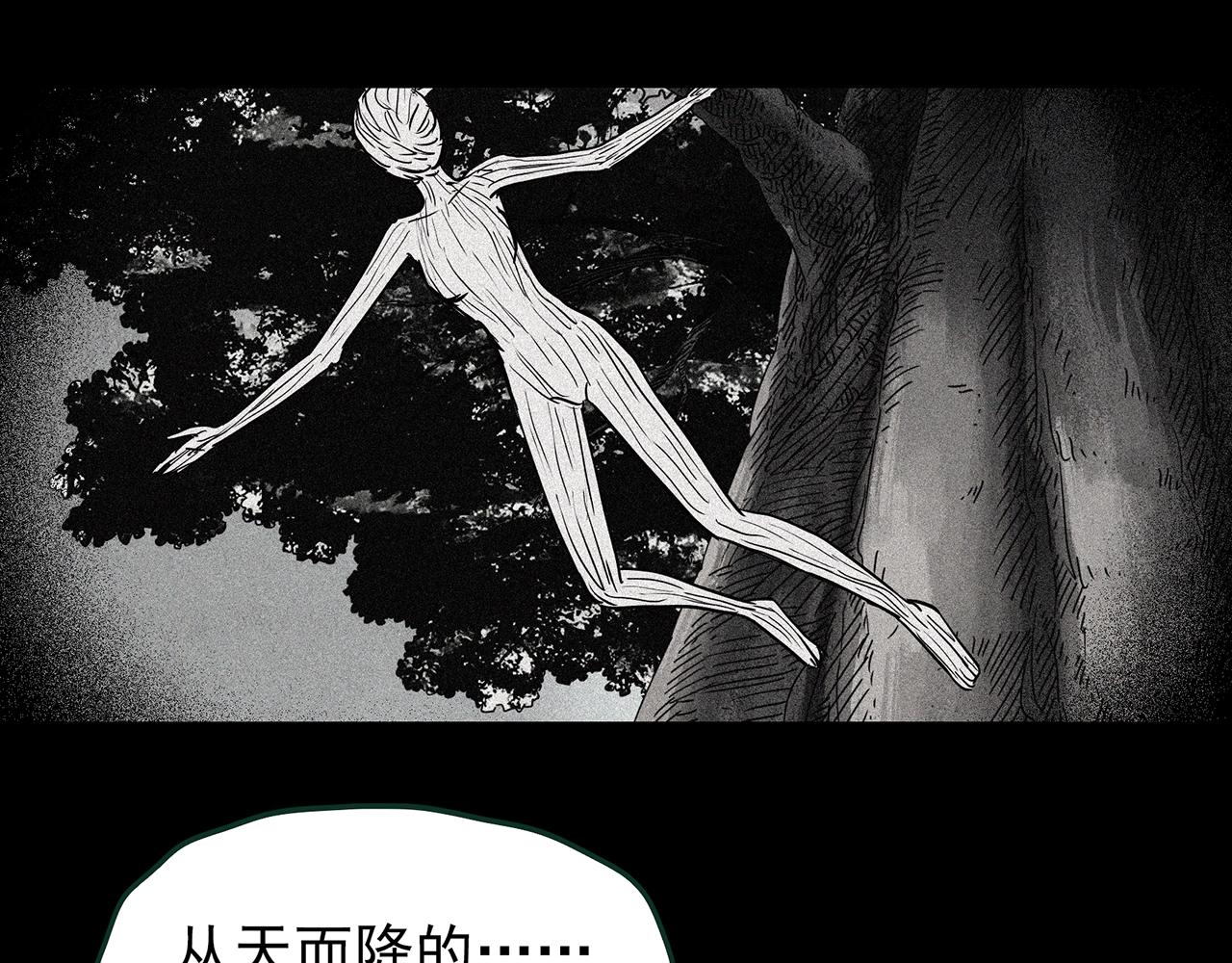 第427话 母亲树87