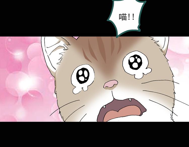 第31话 怪之猫（下）68