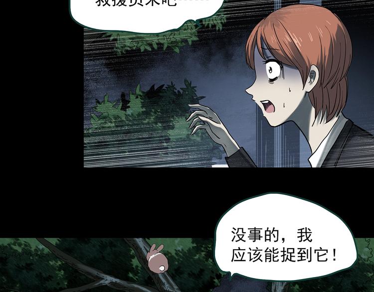 第358话 树上影 下33