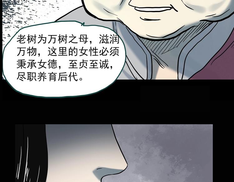第330话 贞节橄榄树（上）131