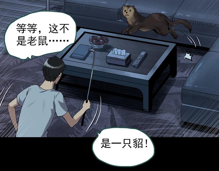 第270话 貂皮大衣 中13