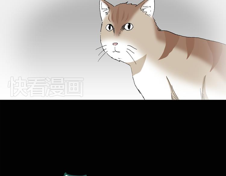 第31话 怪之猫（下）26