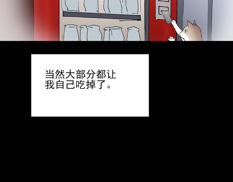 第31话 怪之猫（下）43