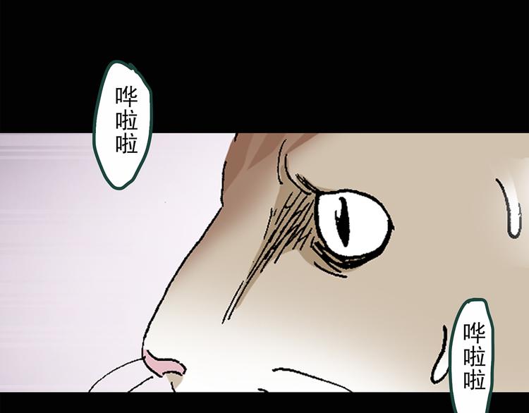 第30话 怪之猫(中2)20