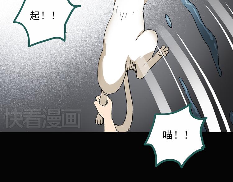 第31话 怪之猫（下）73