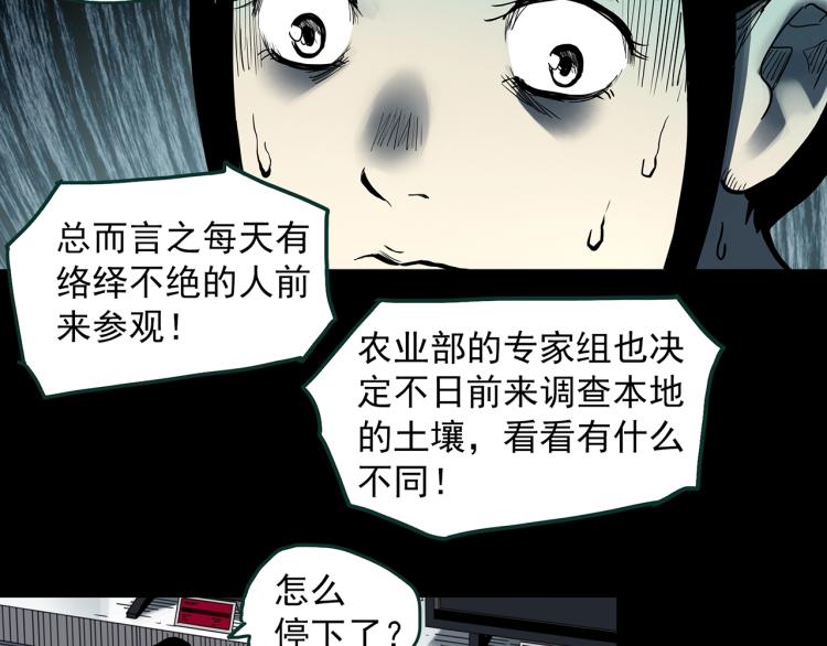 第376话 甘蔗地41