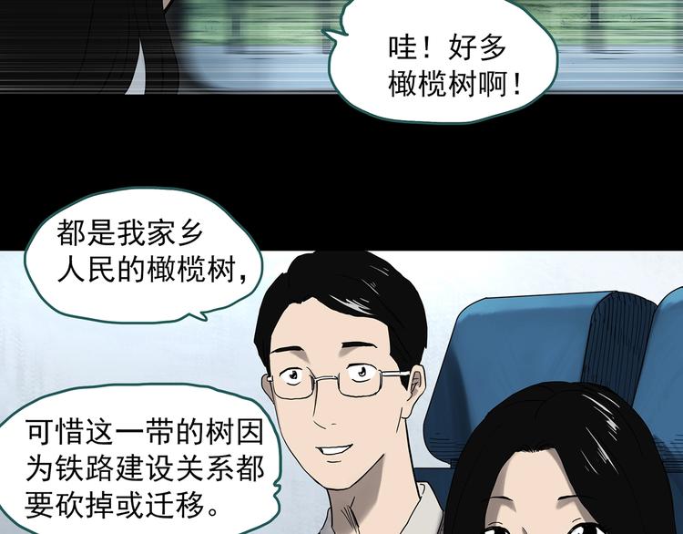 第330话 贞节橄榄树（上）37