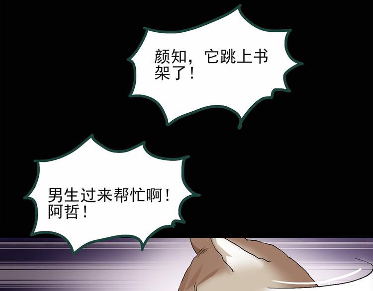 第30话 怪之猫(中2)17