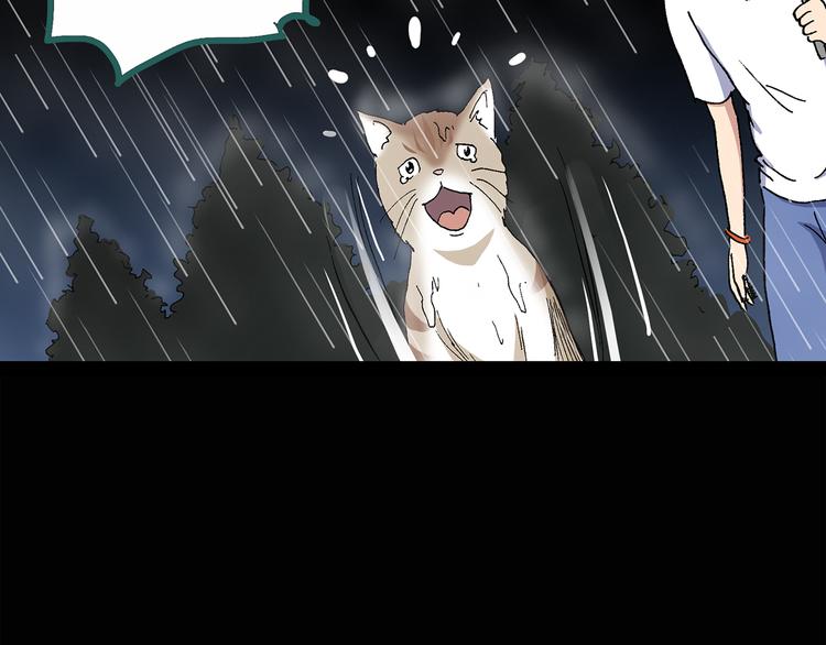 第31话 怪之猫（下）58