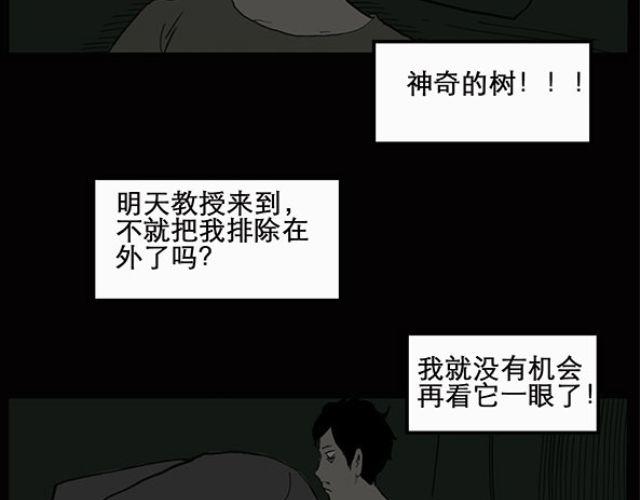 第10话 配偶树（上）34
