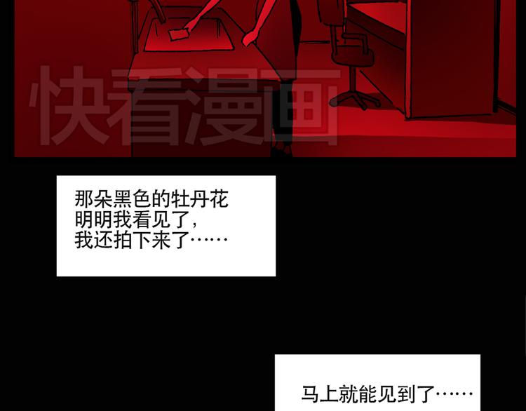 第13话 黑色牡丹花· 照片132