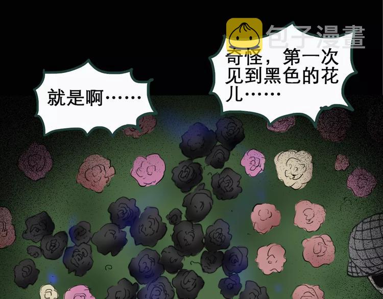 第19话 黑色牡丹花·照片757