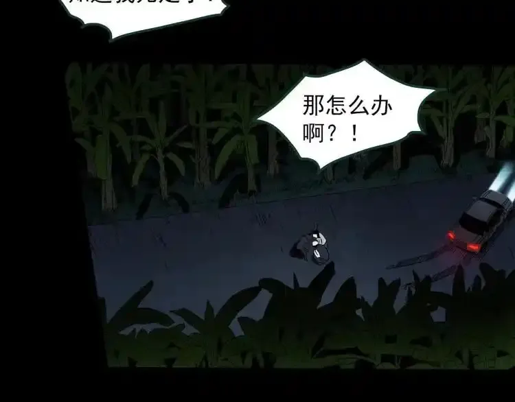 第375话 甘蔗地91