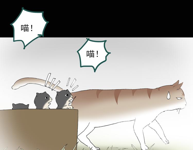 第31话 怪之猫（下）24