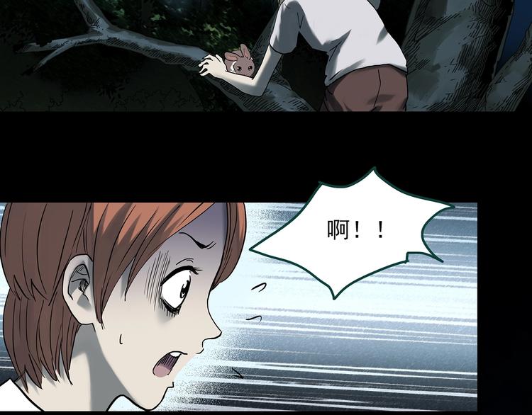 第358话 树上影 下26