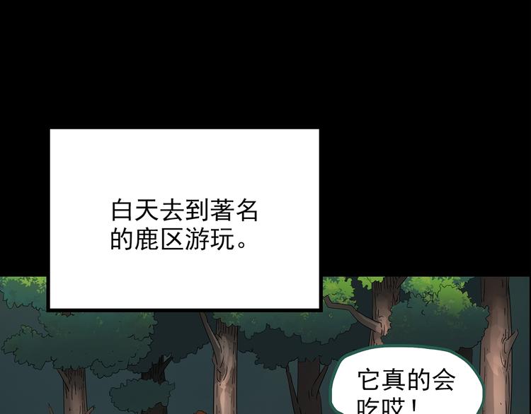 第204话 梦之舞人（上）67