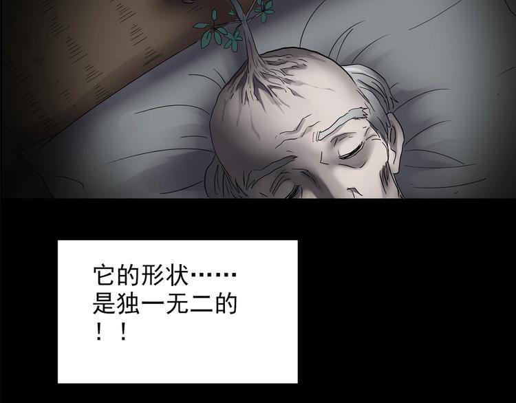 第211话 人参村（中二）43