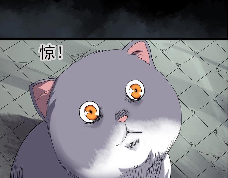 第238话 装修 下58