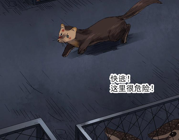 第271话 貂皮大衣 下15