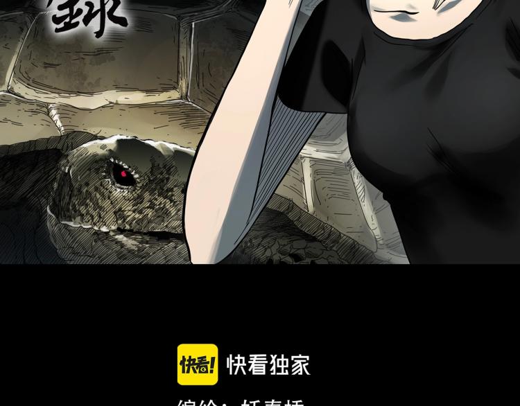第375话 龟之怪谈（下）1