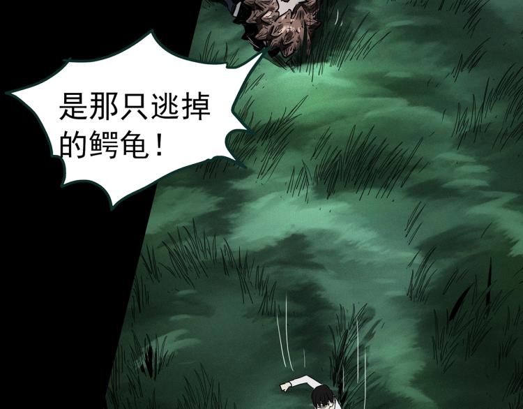 第375话 龟之怪谈（下）78