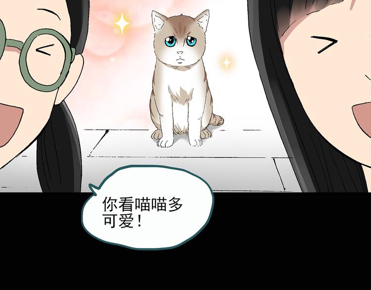 第28话 怪之猫(上)20