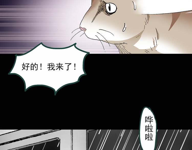 第30话 怪之猫(中2)18