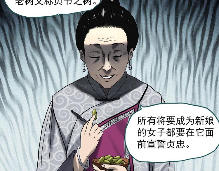 第330话 贞节橄榄树（上）65