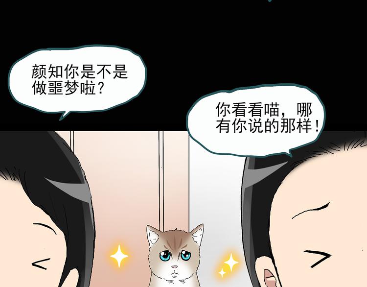 第28话 怪之猫(上)47